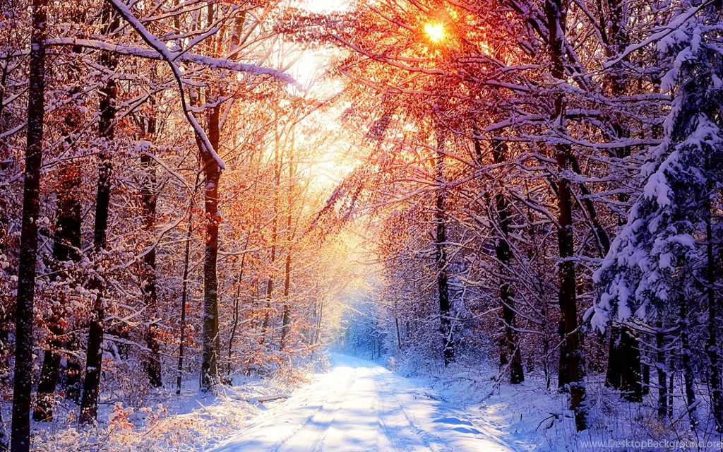 Winter Wallpapers Widescreen