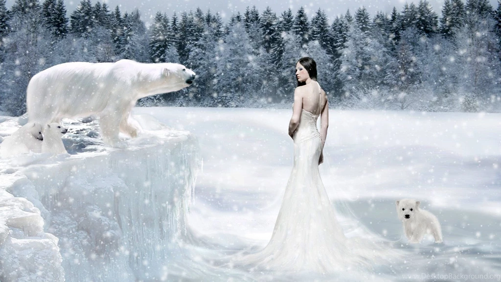 Winter Animal Wallpapers HD Resolution