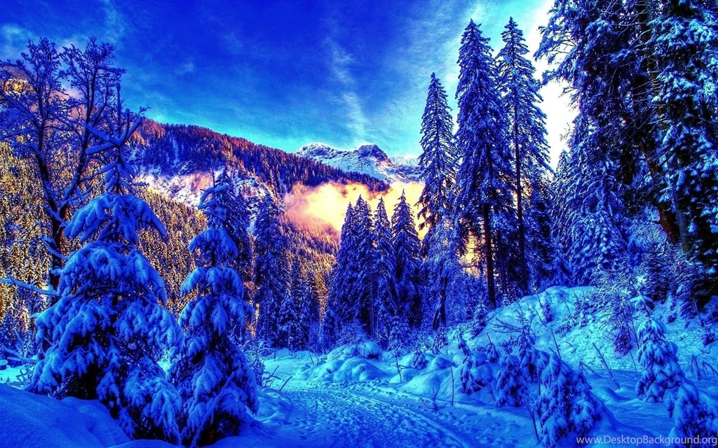 Winter Path HD Wallpaper, Winter Path Images Free