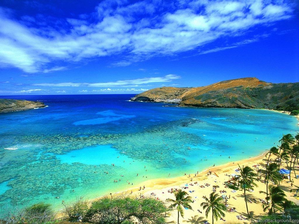 Hawaiian HD Wallpaper, Hawaiian Images Free, New Wallpapers