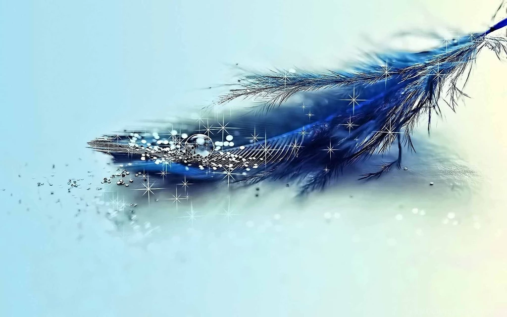 Feather Wallpapers HD Photos