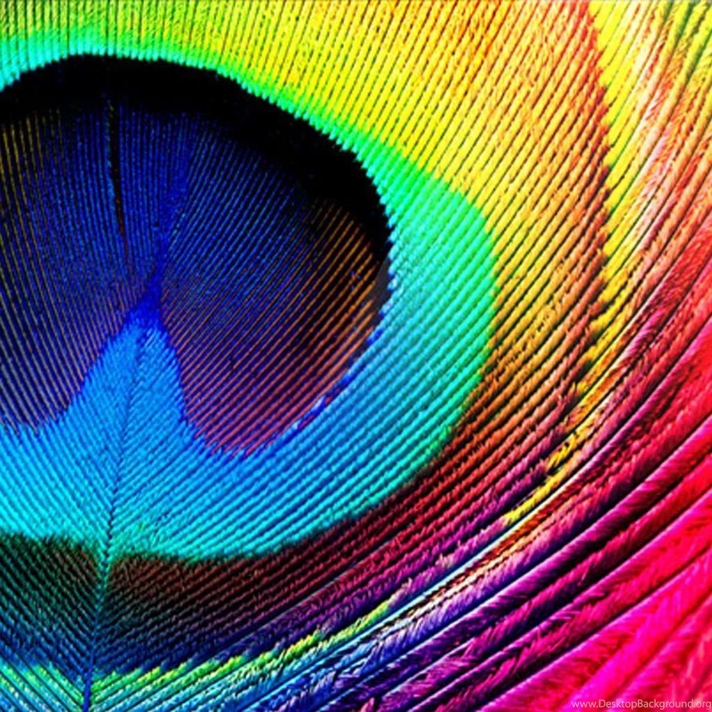 Peacock Feathers HD Wallpapers, Peacock Feathers Backgrounds, New ...