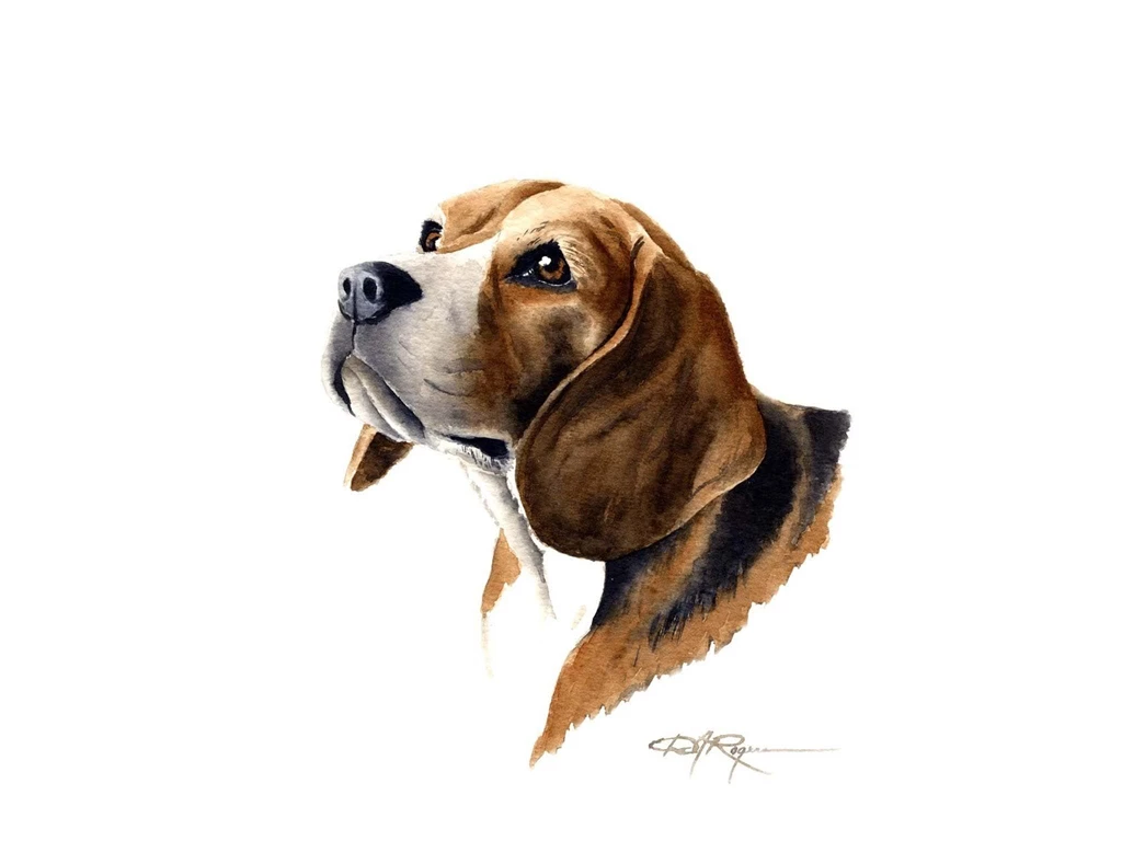 Desktop beagle dogs images.jpg