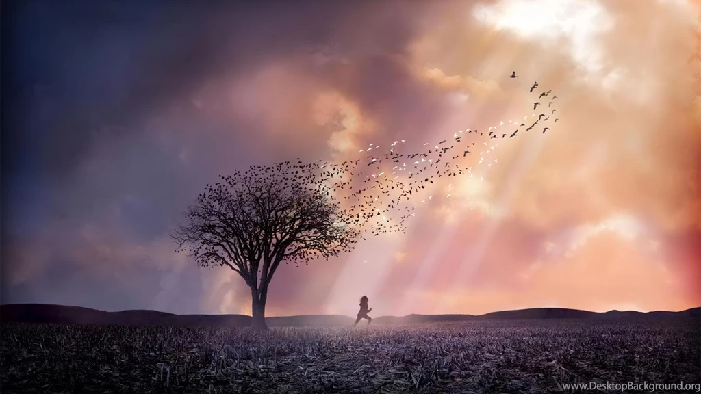 Desktop Wallpapers · Gallery · HD Notebook · Devastation Netbook ...