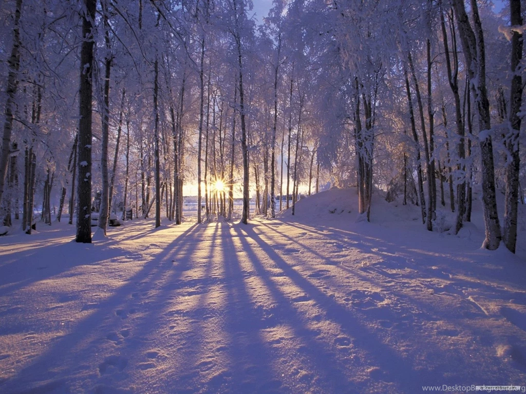 Winter Wonderland Desktop Backgrounds