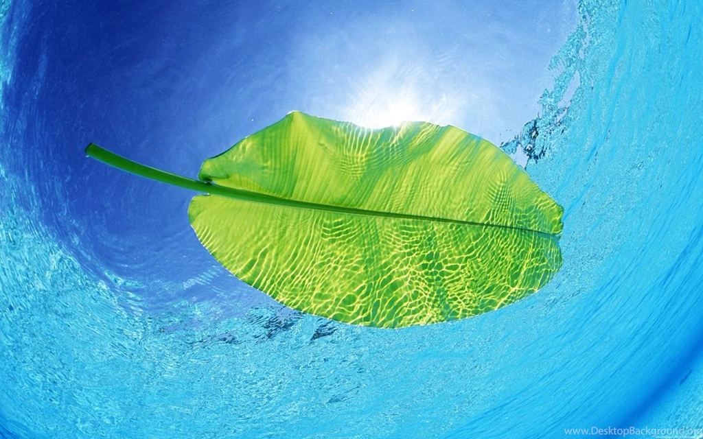 Sea Wallpapers For Desktop HD