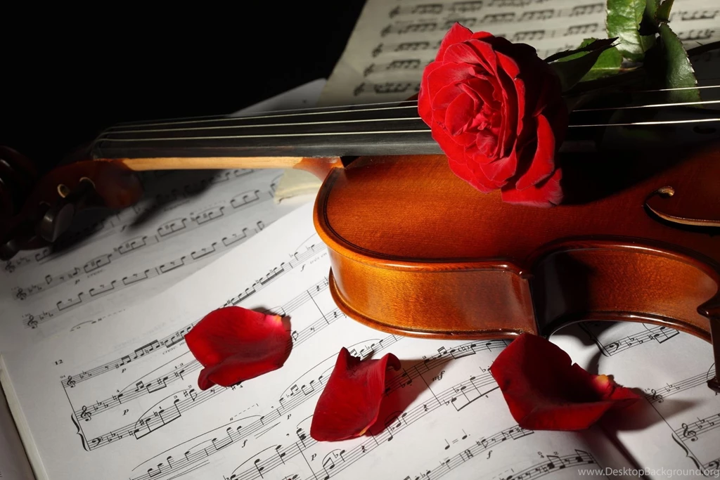 Violin Rose Wallpapers Desktop Backgrounds