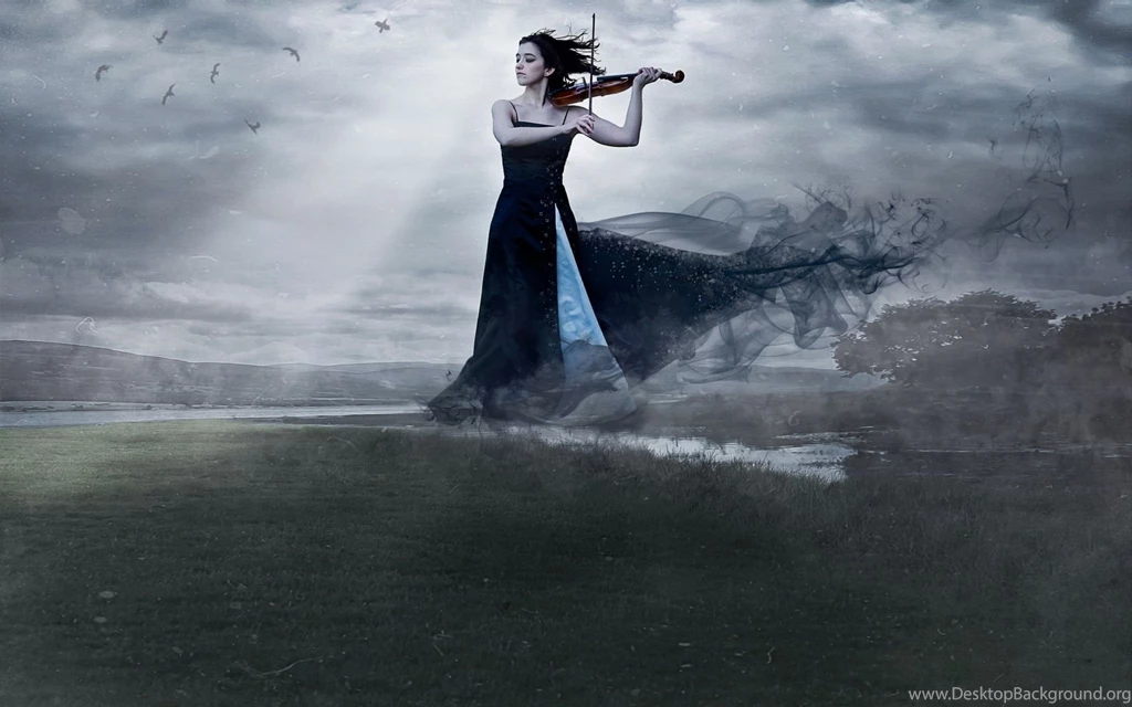 Top Violin Hd Wallpaper Images For Pinterest