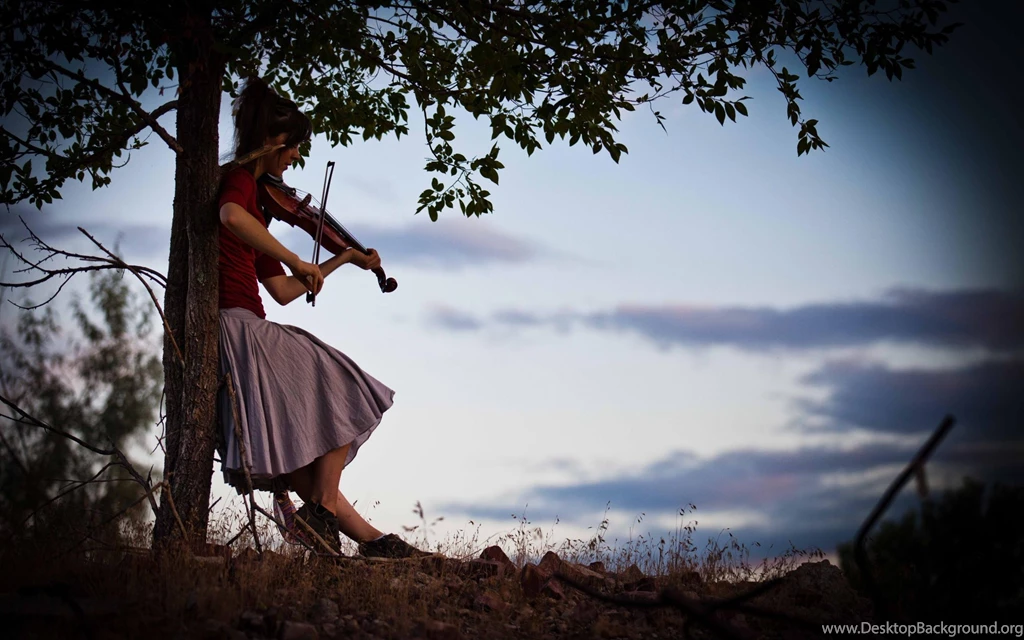 Colorful Violin Wallpapers Wallpaper.