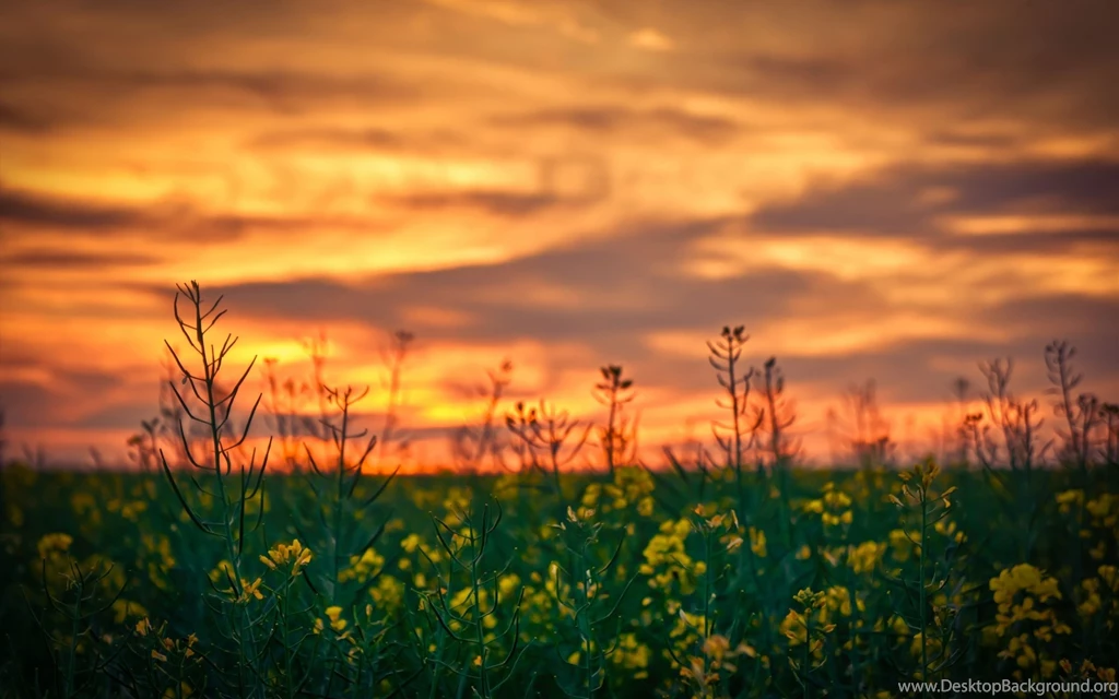 HDR Computer Wallpapers, Desktop Backgrounds