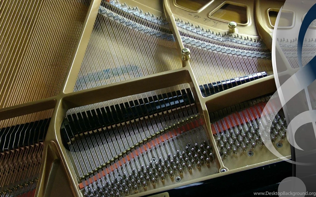 Grand Piano From The Top