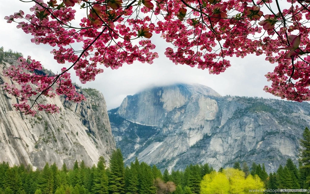 Free Wallpapers Free Nature Wallpapers HD Landscape 5 Wallpapers ...