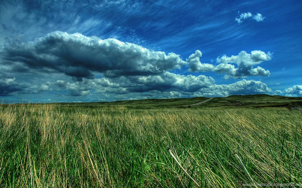 Green Pasture Landscape Wallpapers For Android