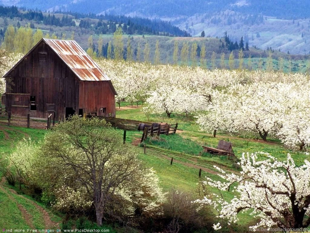 Nature Springtime Free Desktop Wallpapers For PC & Mac