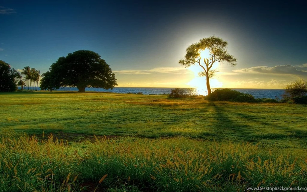 Springtime Wallpapers