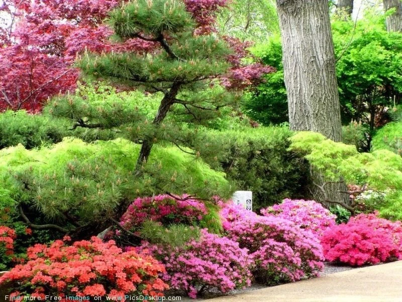 Nature Springtime Free Desktop Wallpapers For PC & Mac