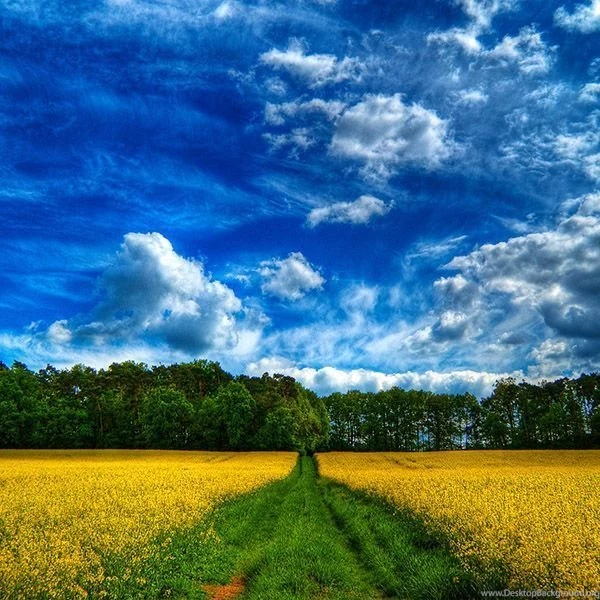 20 High Definition Spring Wallpapers