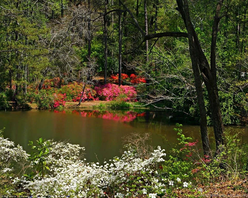 Nature Springtime Free Desktop Wallpapers For PC & Mac
