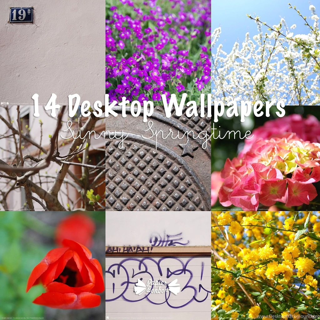 14 Sunny Desktop Wallpapers Springtime Desktop Wallpapers ...