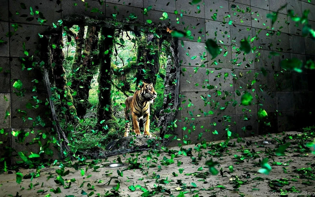 Hi Resolution Desktop Wallpapers Tiger Photos Of Crystal Clear ...