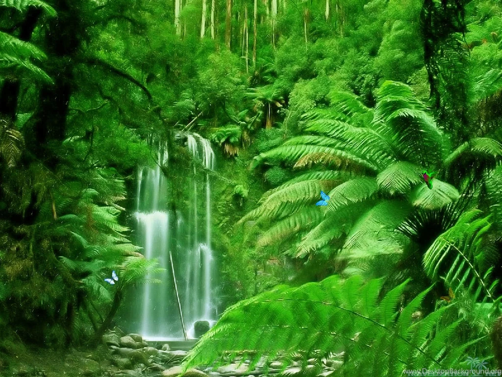 Refreshing And Awesome Waterfalls Wallpapers