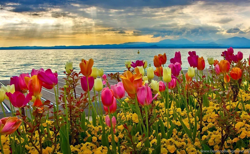HD Spring Wallpapers For Desktop