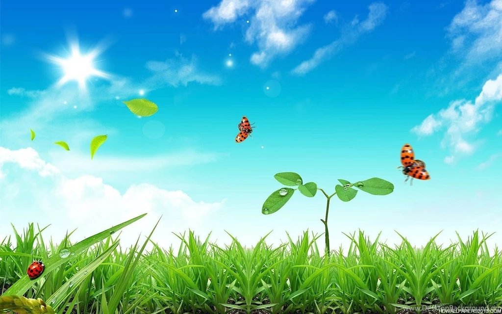 Free Spring Wallpapers For Desktop 38751 Images
