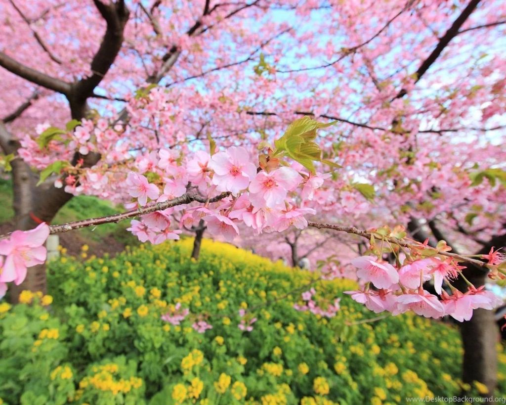 1280x1024 Spring Wallpapers HD, Desktop Backgrounds 1280x1024