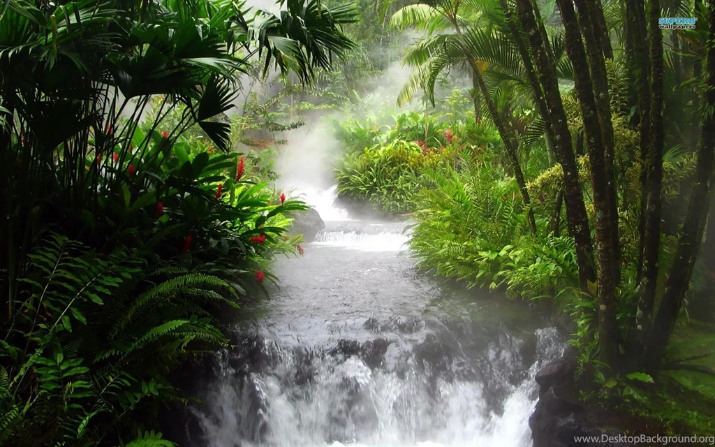 Waterfall In The Jungle Wallpapers Nature Wallpapers