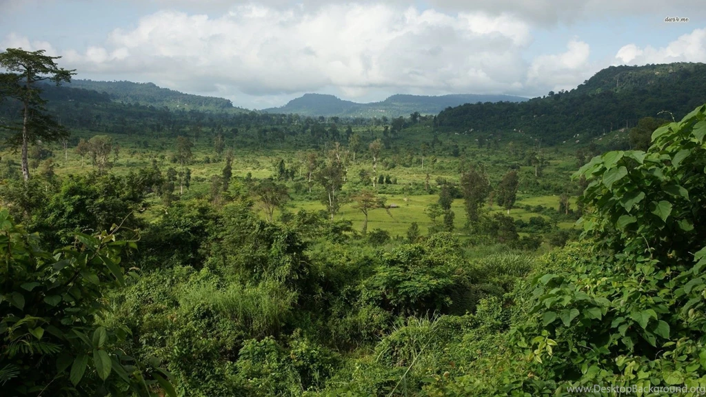 Jungle Wallpapers Nature Wallpapers