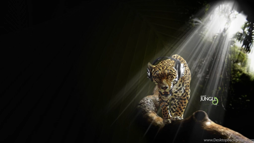 Audio Jungle Creative Design Wallpapers 1920*1080 2 Desktop ...