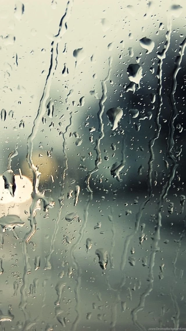 Rain iPhone 5 Wallpapers