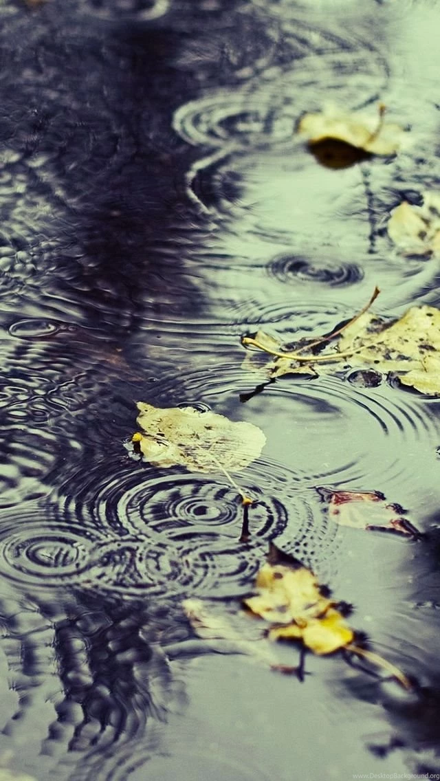 Rain iPhone 5s Wallpapers