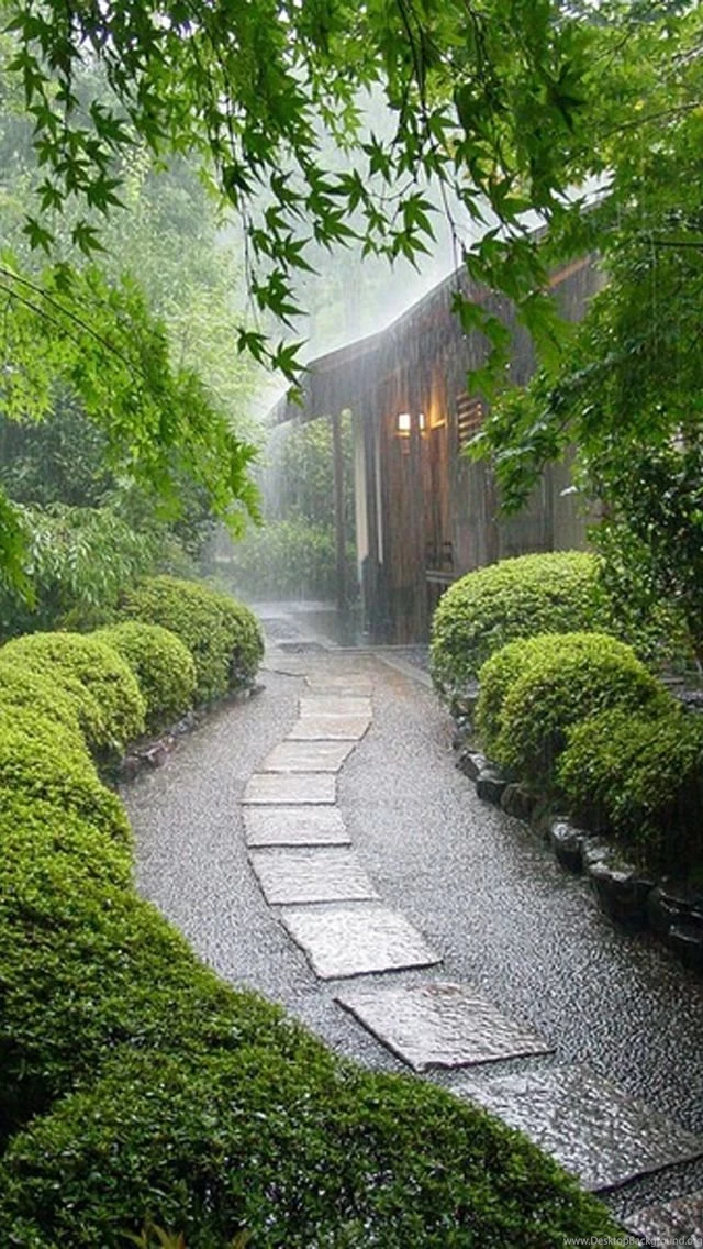 Dense Rain Trails iPhone 5s Wallpapers Download