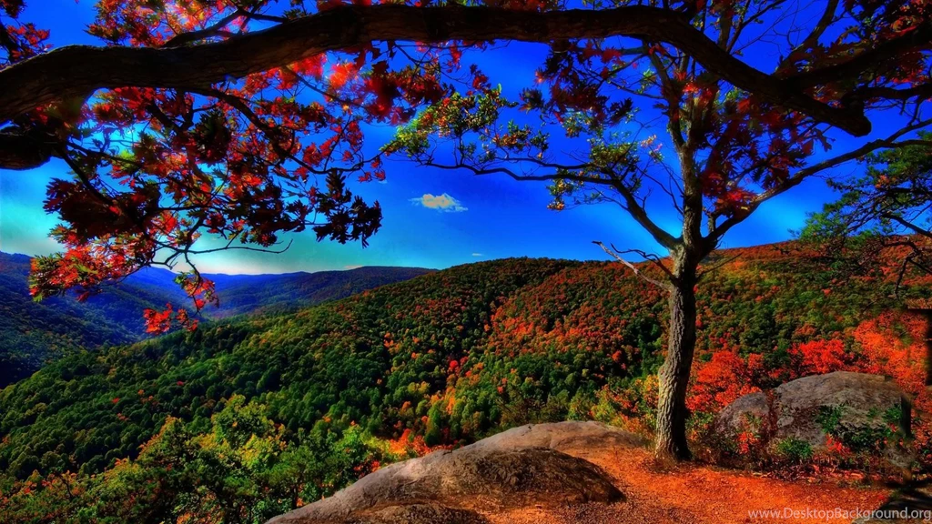 Full HD Nature Wallpapers