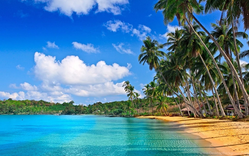 Desktop Backgrounds Beach Theme Wallpaper.