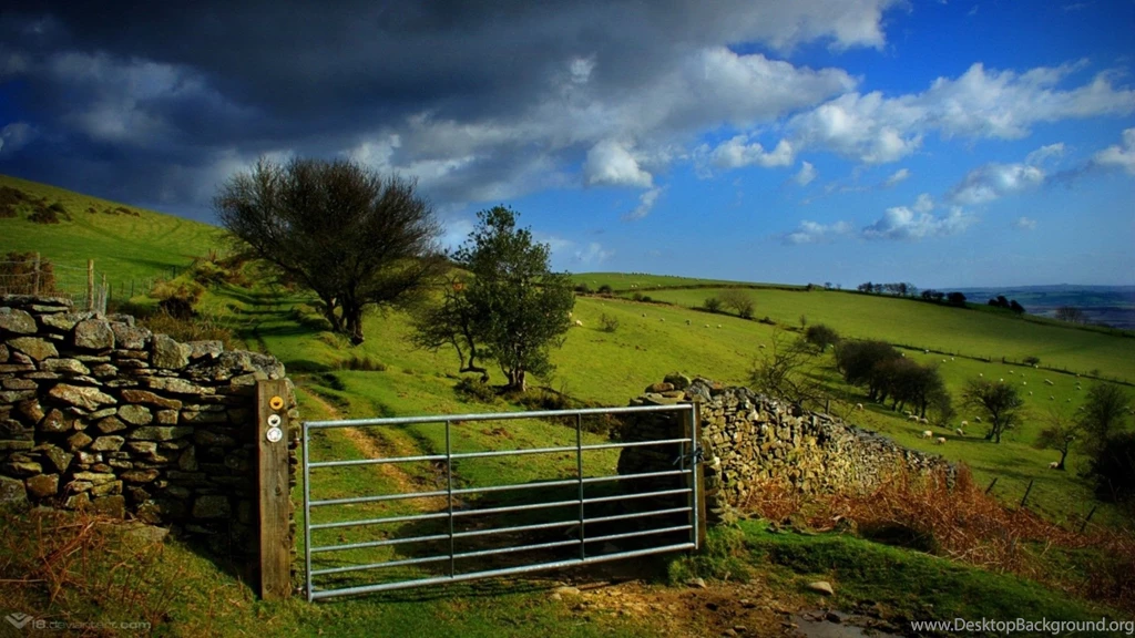 Best Hd Nature Wallpapers