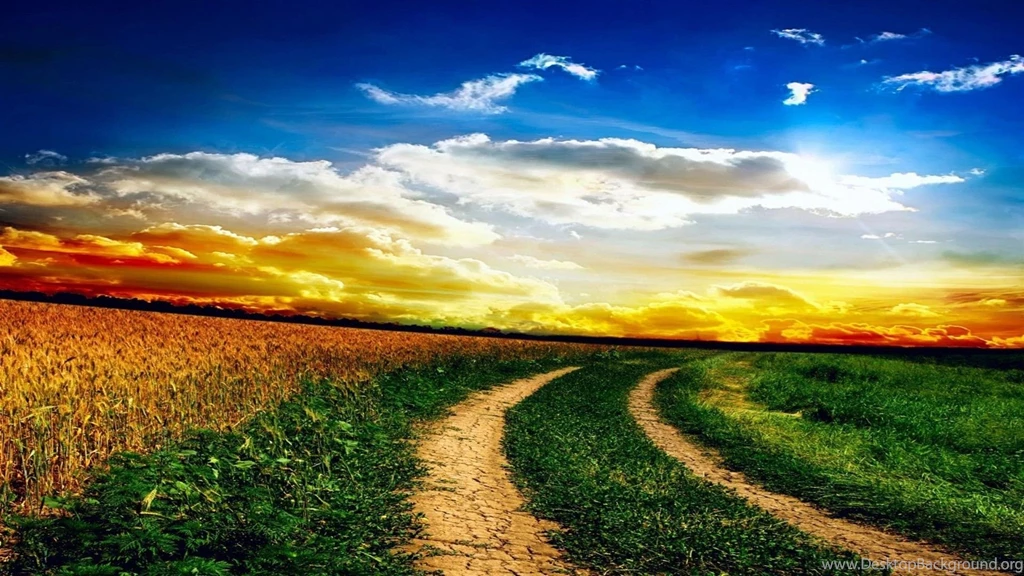 Nature Fields HD Wallpapers