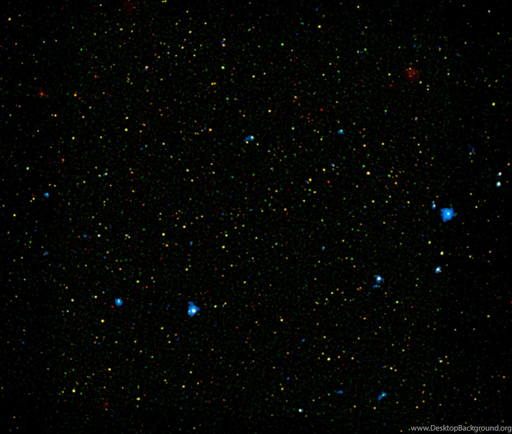 Different Flavors Of Black Holes