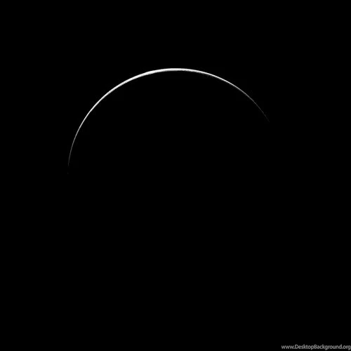 Black And White GIF   Find & Share On GIPHY