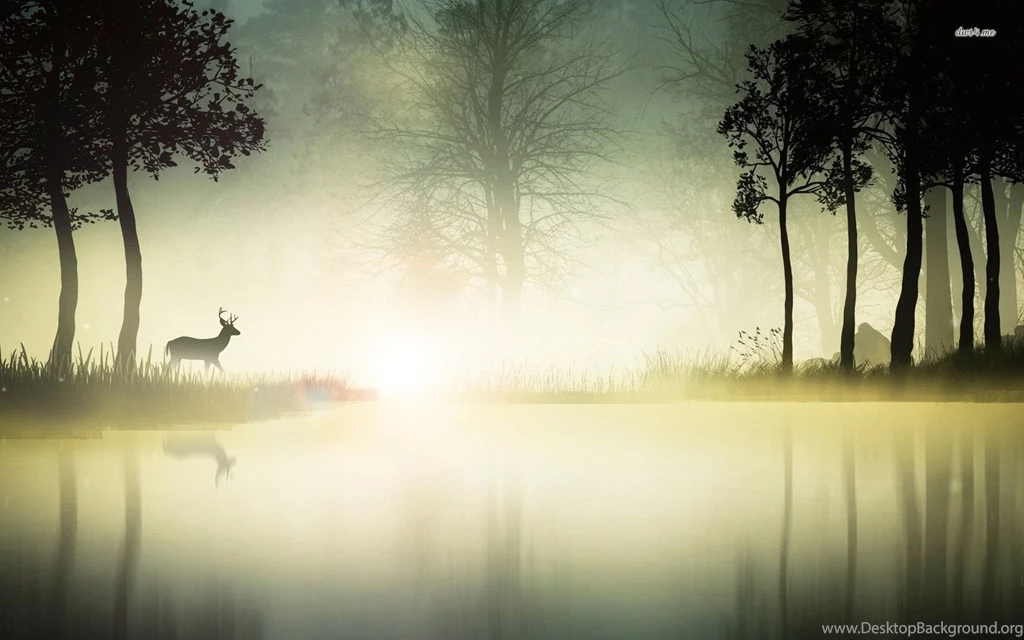 Deer At The Foggy Lake Wallpapers Artistic Wallpapers