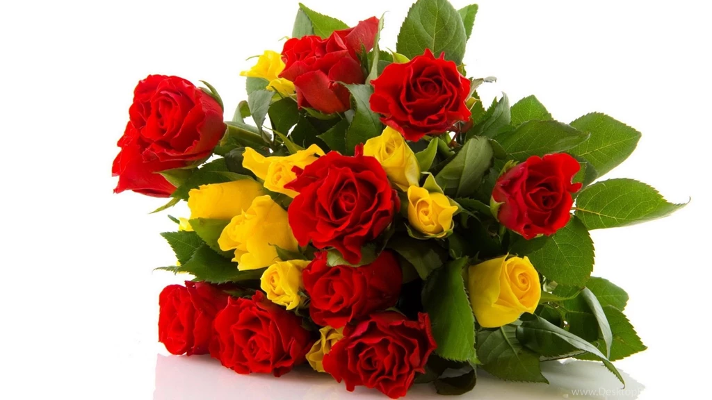 Download Wallpapers 1920x1080 Rose, Flower, Red, Yellow Full HD ...