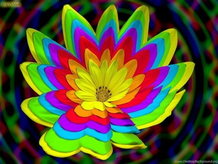 Another Meaning To The Word 'Wildflower'