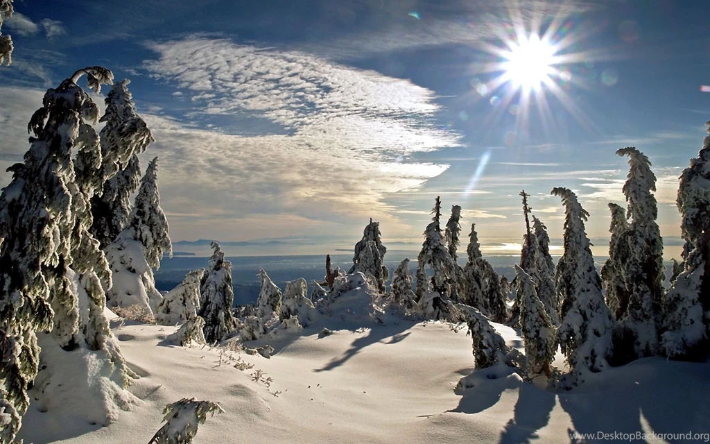 Winter Wallpapers Free Download