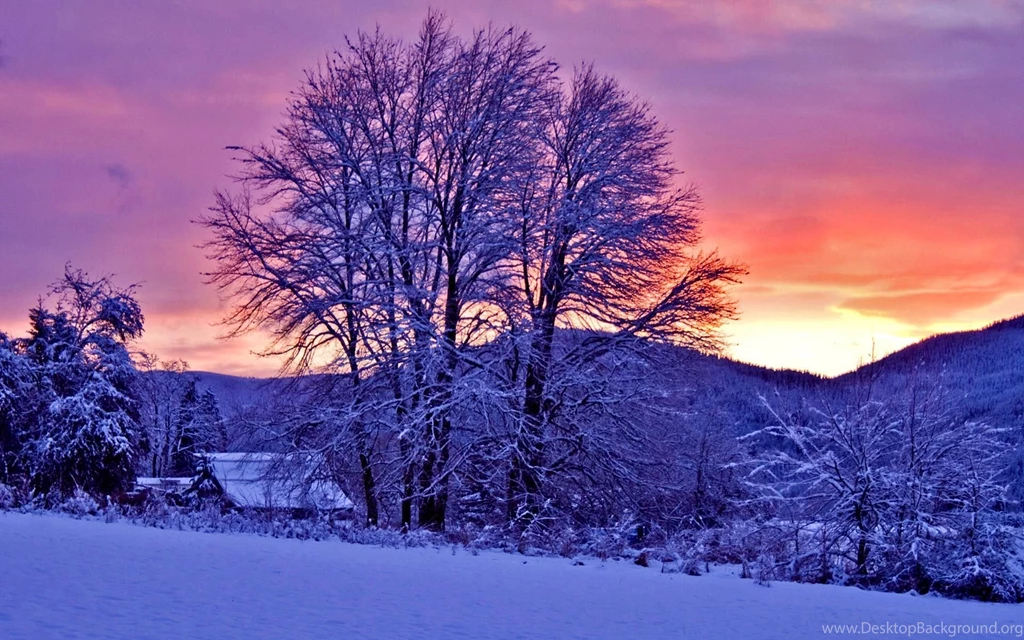 Top Hd Stupendous Winter Sunset Images For Pinterest