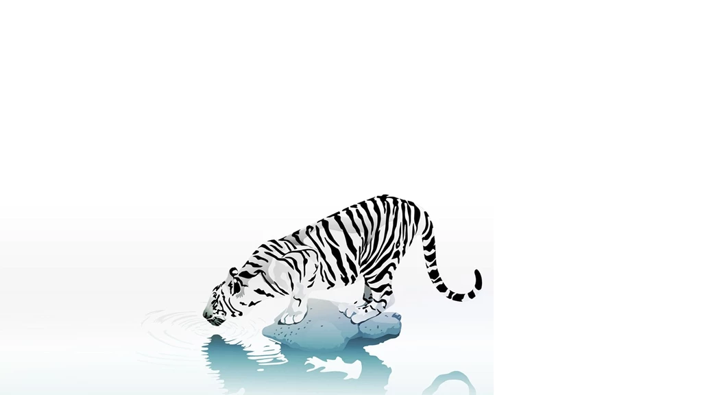 Animated Tiger Desktop Backgrounds Wallpapers