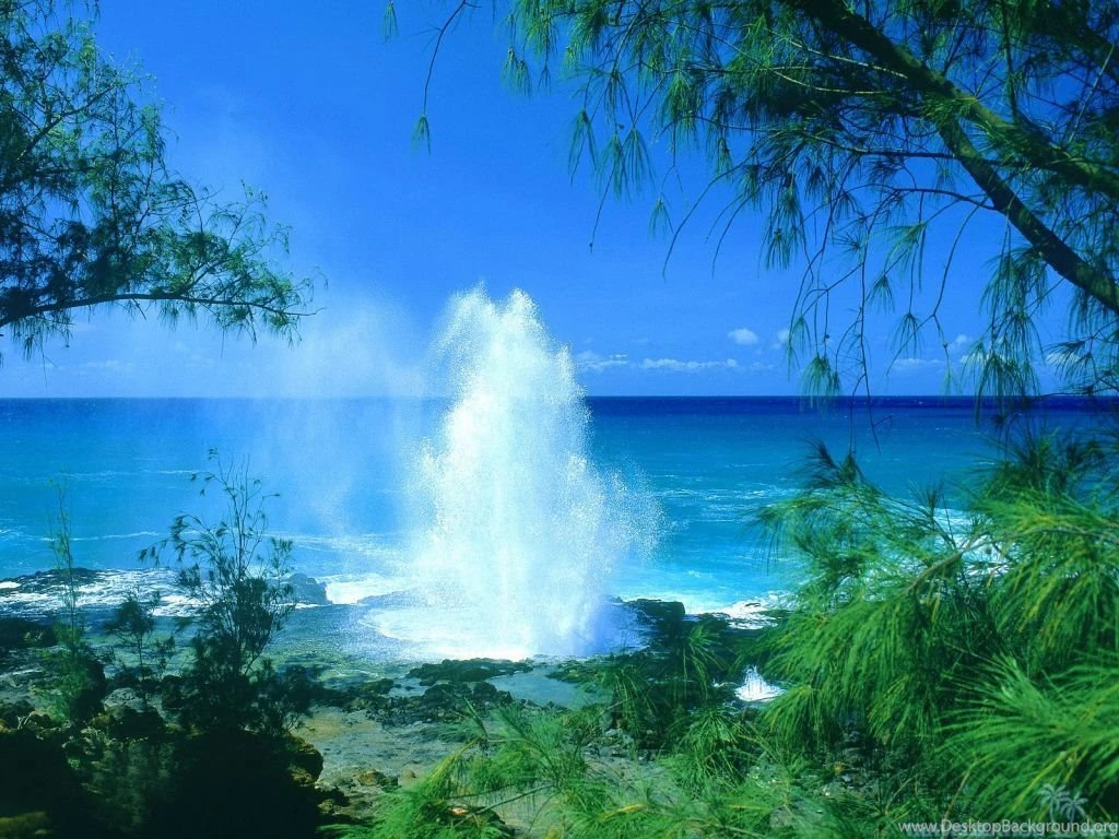 The Best Hawaii Wallpapers