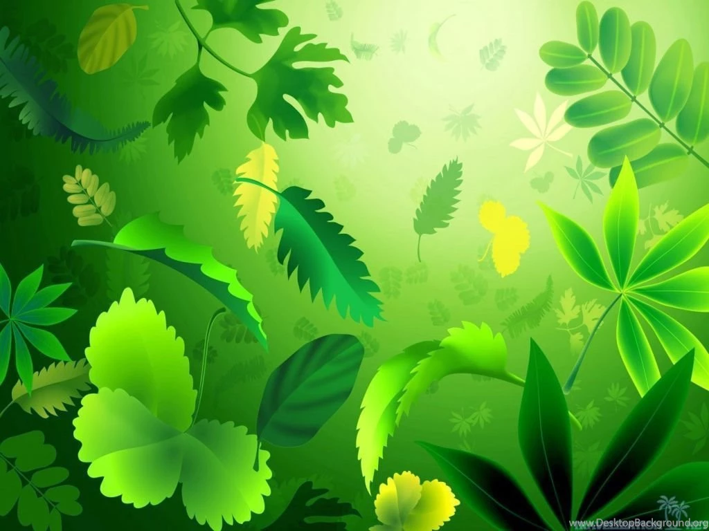 Top All Kinds Of Wallpaper Images For Pinterest