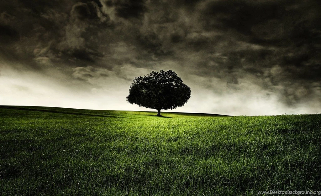 Best Landscape Scene Wallpapers 1600×978
