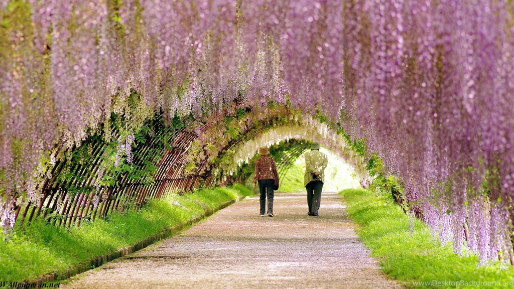 Full hd wallpapers for laptop.jpg